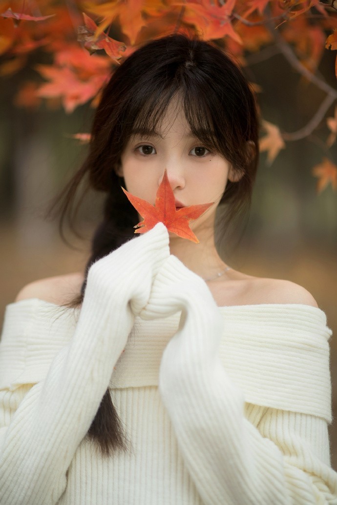 蜘蛛巢城