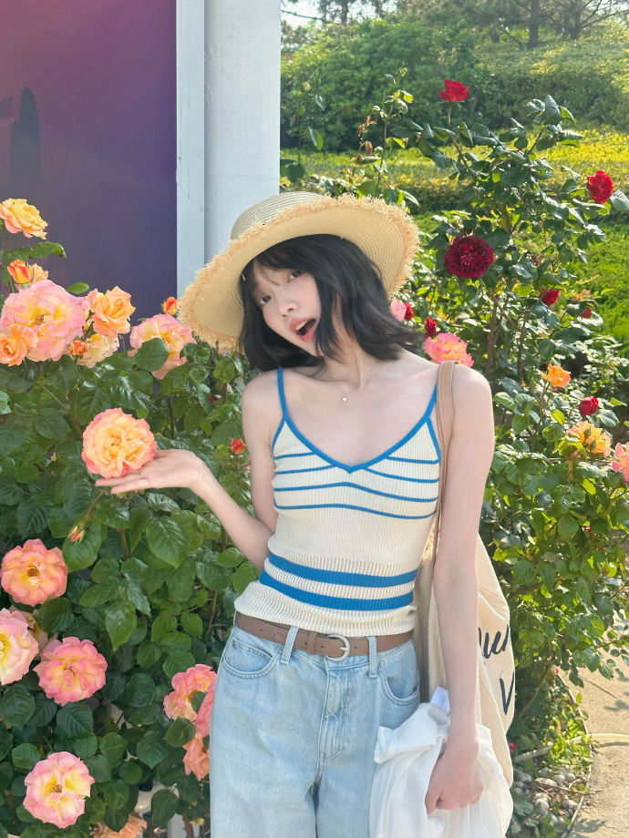 我的阿勒泰 封面